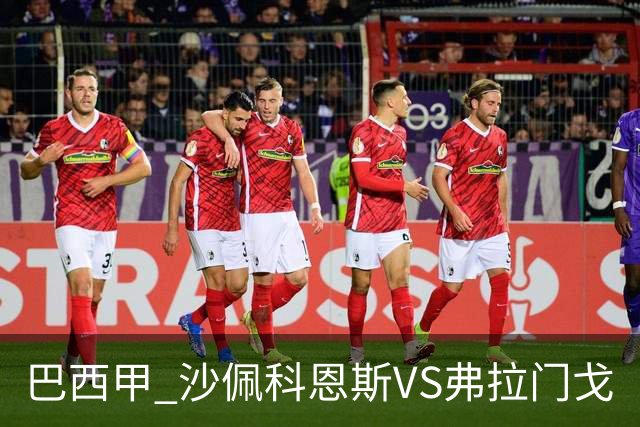巴西甲 沙佩科恩斯VS弗拉门戈
