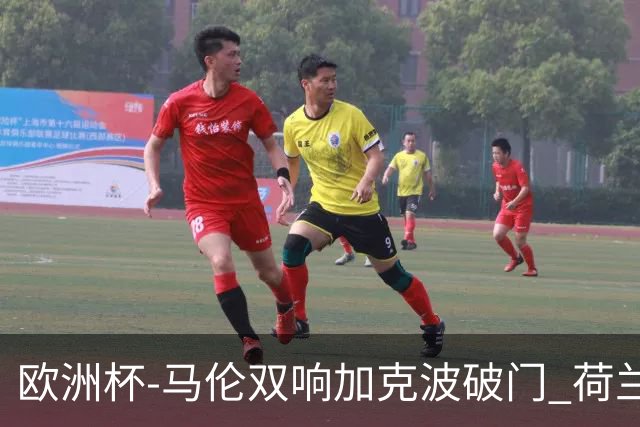 欧洲杯-马伦双响加克波破门 荷兰3-0罗马尼亚