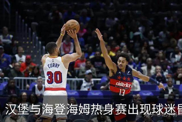 汉堡与海登海姆热身赛出现球迷昏迷，队医和救护车先后急救