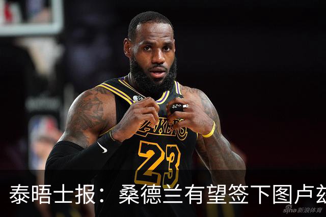 泰晤士报：桑德兰有望签下图卢兹后卫梅塔利，转会费或达3000万镑