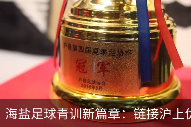 海盐足球青训新篇章：链接沪上优质资源，助力少年梦想