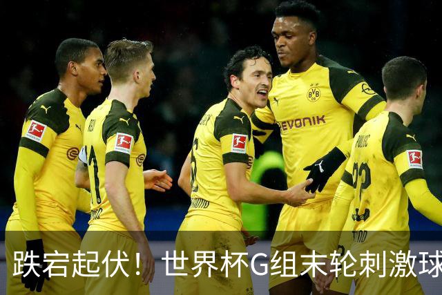 跌宕起伏！世界杯G组末轮刺激球迷心脏 伊朗狂喜过后遭打击