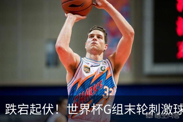 跌宕起伏！世界杯G组末轮刺激球迷心脏 伊朗狂喜过后遭打击
