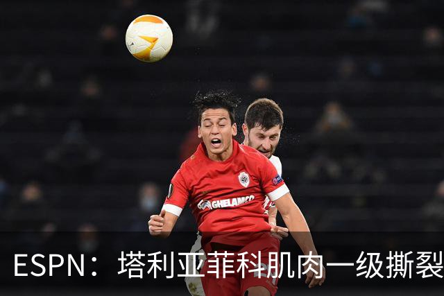 ESPN：塔利亚菲科肌肉一级撕裂，至少缺席世界杯前两场小组赛